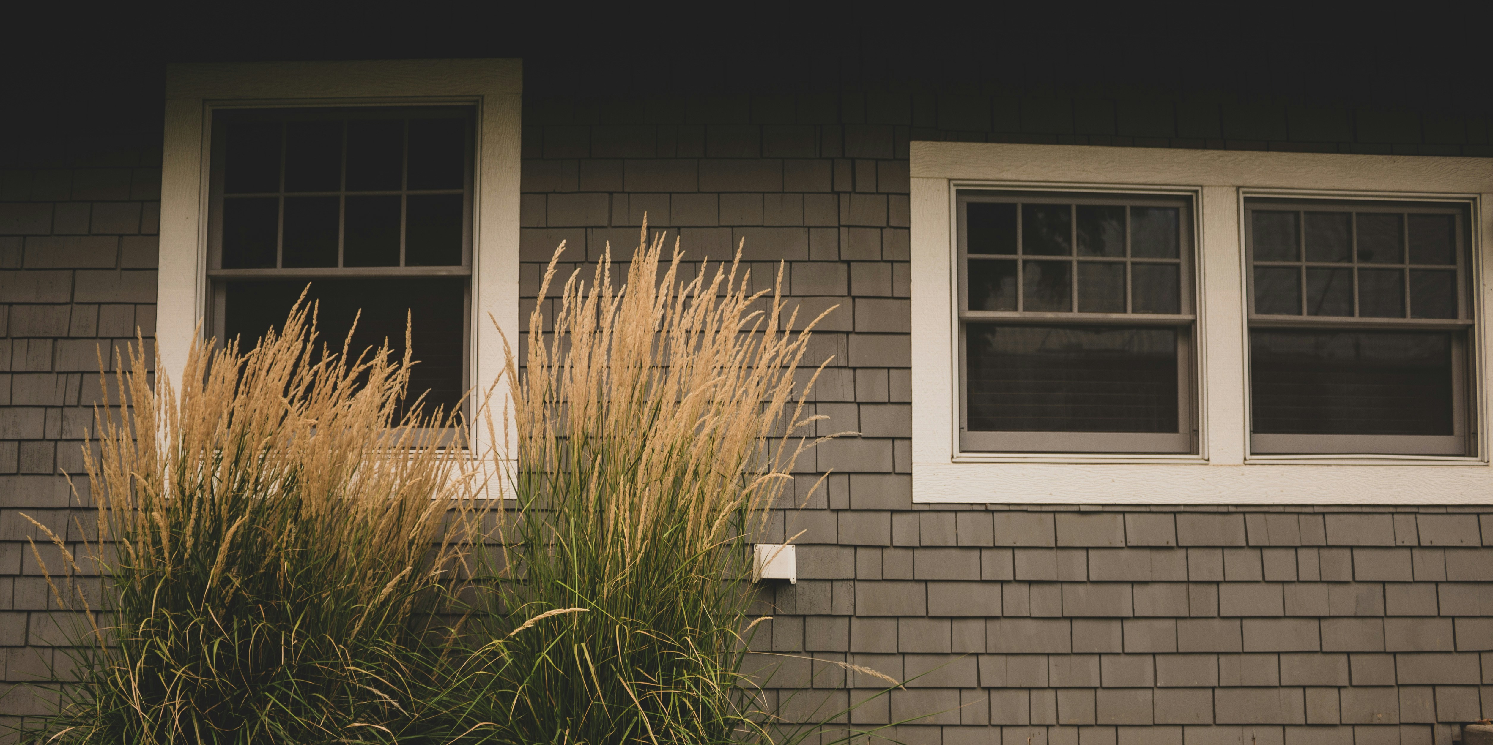 siding+windows